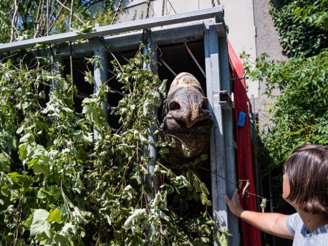 Mobilkran-Einsatz der besonderen Art im Zoo Basel